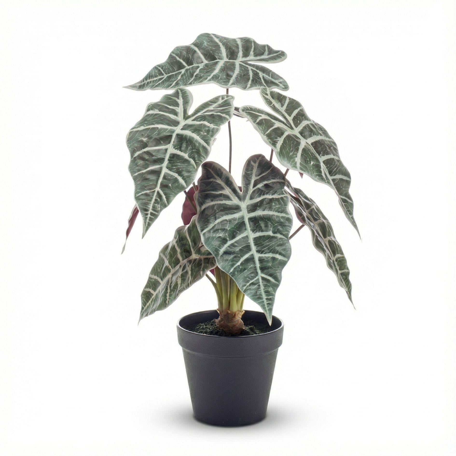schöne künstliche Alocasia im Topf