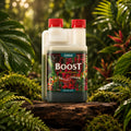 Canna Biostimulator für mehr Boost