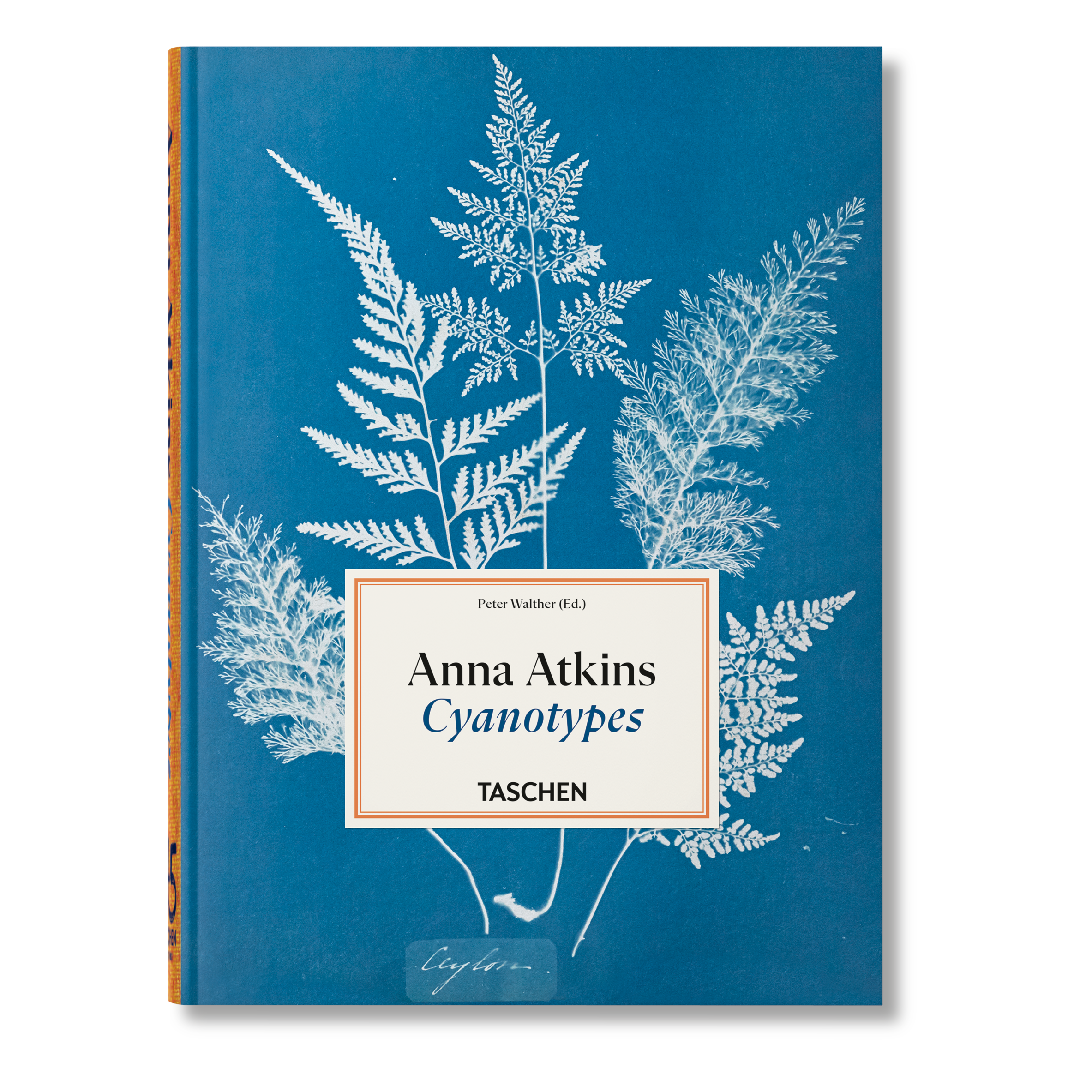 Schönes Buchcover des Werkes Cyanotypes