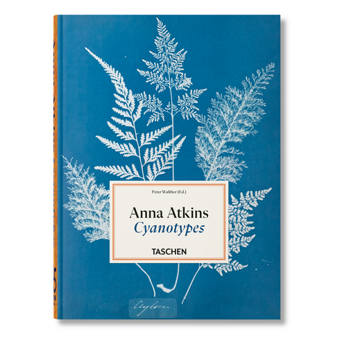 Schönes Buchcover des Werkes Cyanotypes