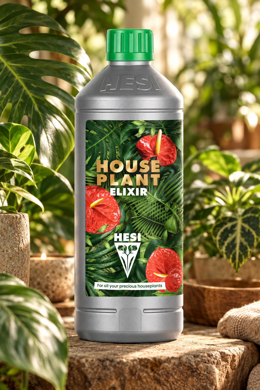 Hauspflanzen Elixir von Hesi