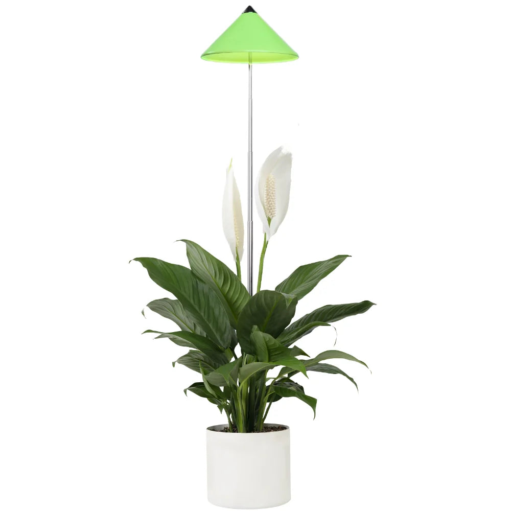 Schöne grüne sunlite Pflanzenlampe