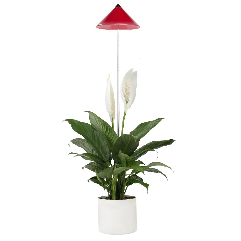 Rote sunlite Pflanzenlampe