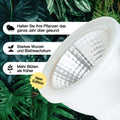 wunderbare Pflanzenlampe von Venso für Zimmerpflanzen