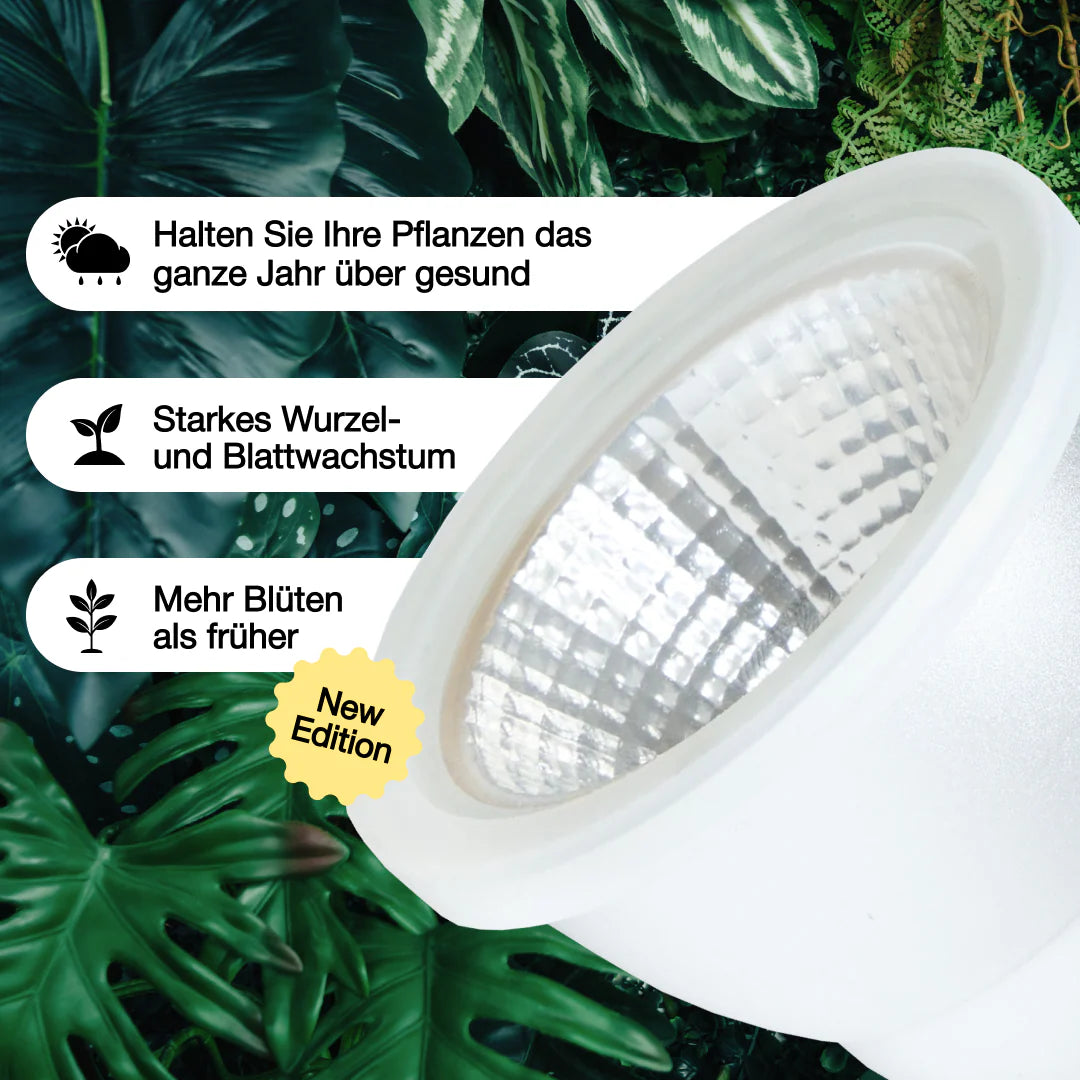 wunderbare Pflanzenlampe von Venso für Zimmerpflanzen