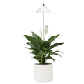Schöne weiße Sunlite Pflanzenlampe