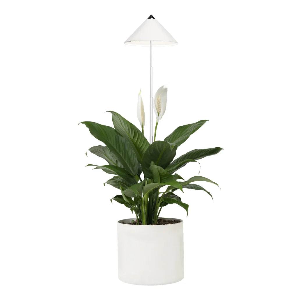 Schöne weiße Sunlite Pflanzenlampe