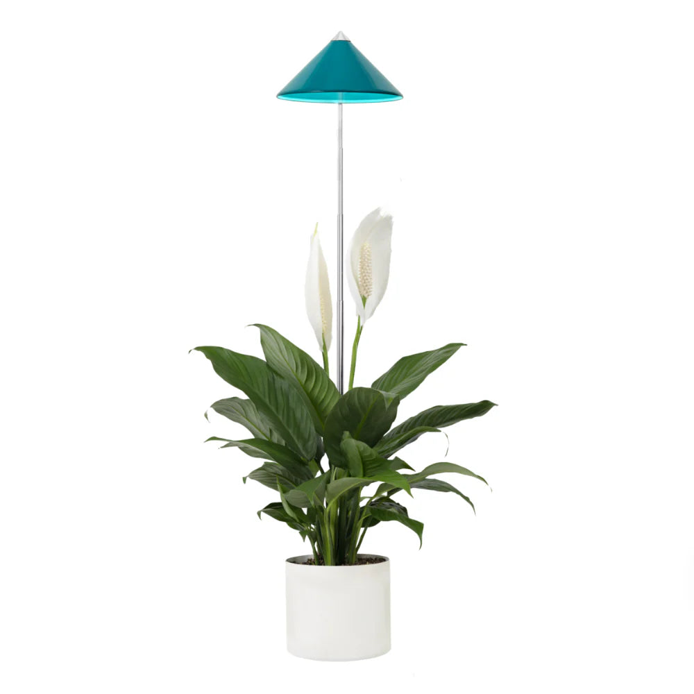 Schöne blau Venso sunlite LED für Pflanzen in blau