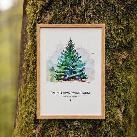 Schönes Baumzertifikat zur Pflanzung eines Baums im Schwarzwald.
